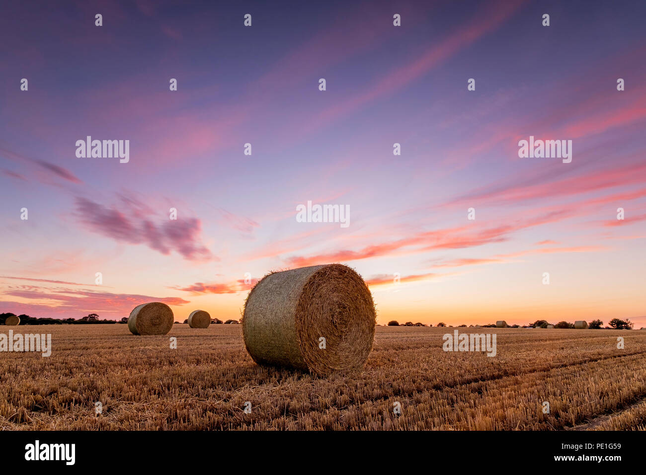 Straw Bales in a field at sunset on a summers evening Stock Photo - Alamy