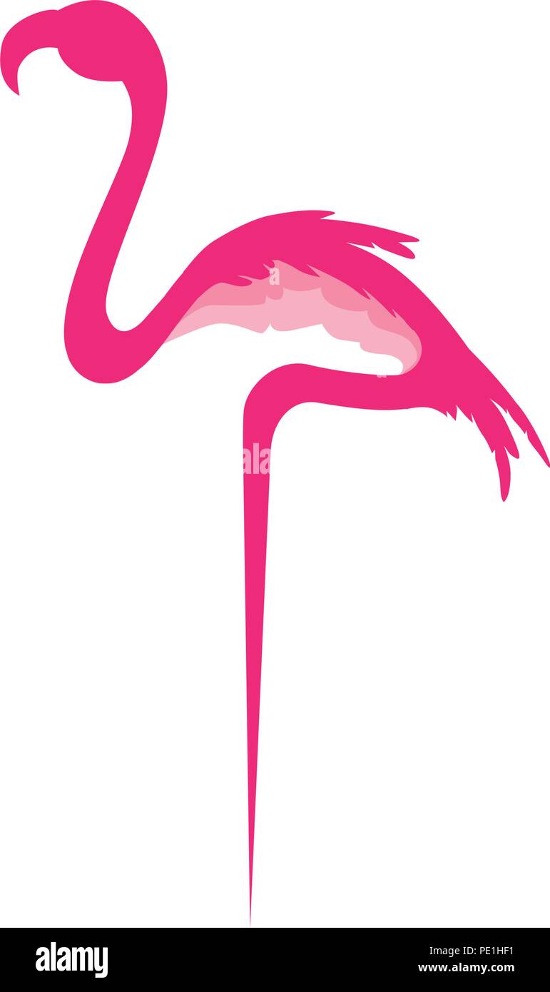 abstract pink flamingo Stock Vector Image & Art - Alamy