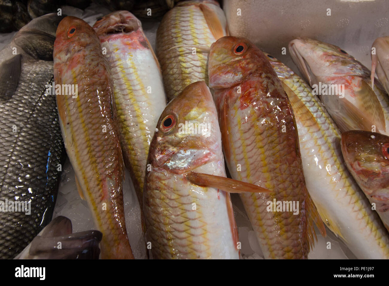 Freshly caught fish spices hi-res stock photography and images - Alamy