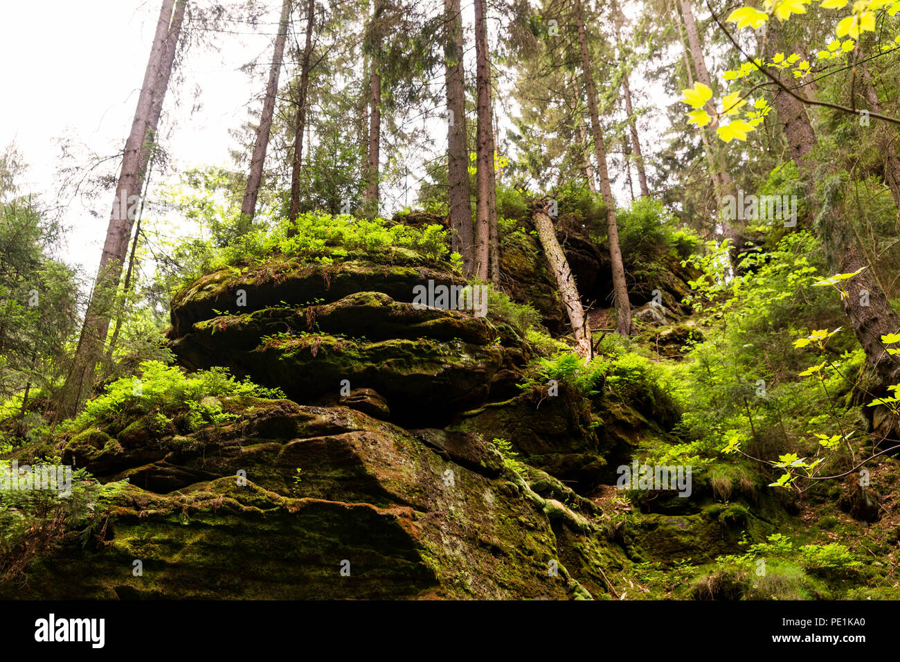 Wandern in der boehmischen Schweiz Stock Photo