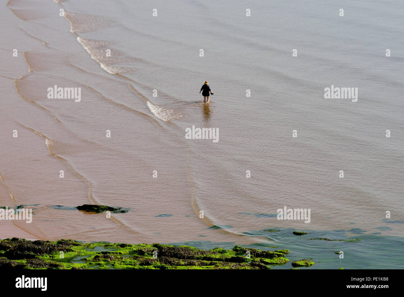 A lone holiday maker paddling in the sea at low tide. Stock Photo