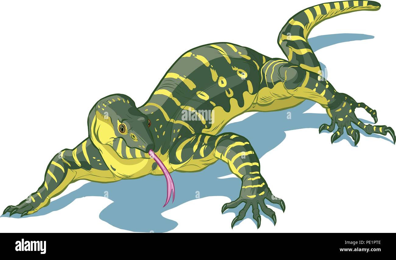 Vector clip art cartoon illustration of a Nile Monitor Lizard with its tongue out. Stock Vector