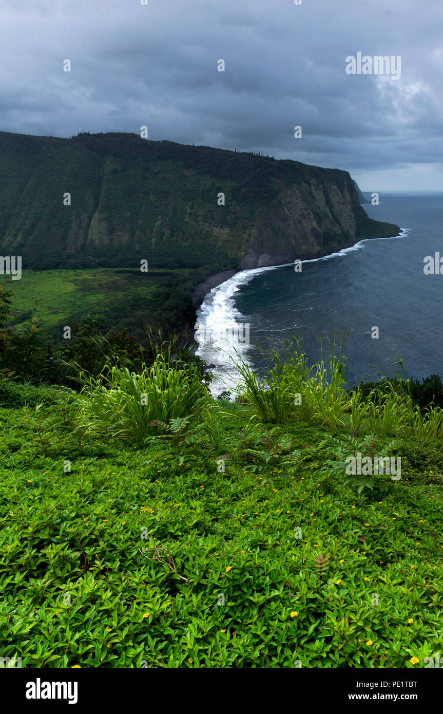 Stunning landscapes and nature with volcanos of the Big Island of ...