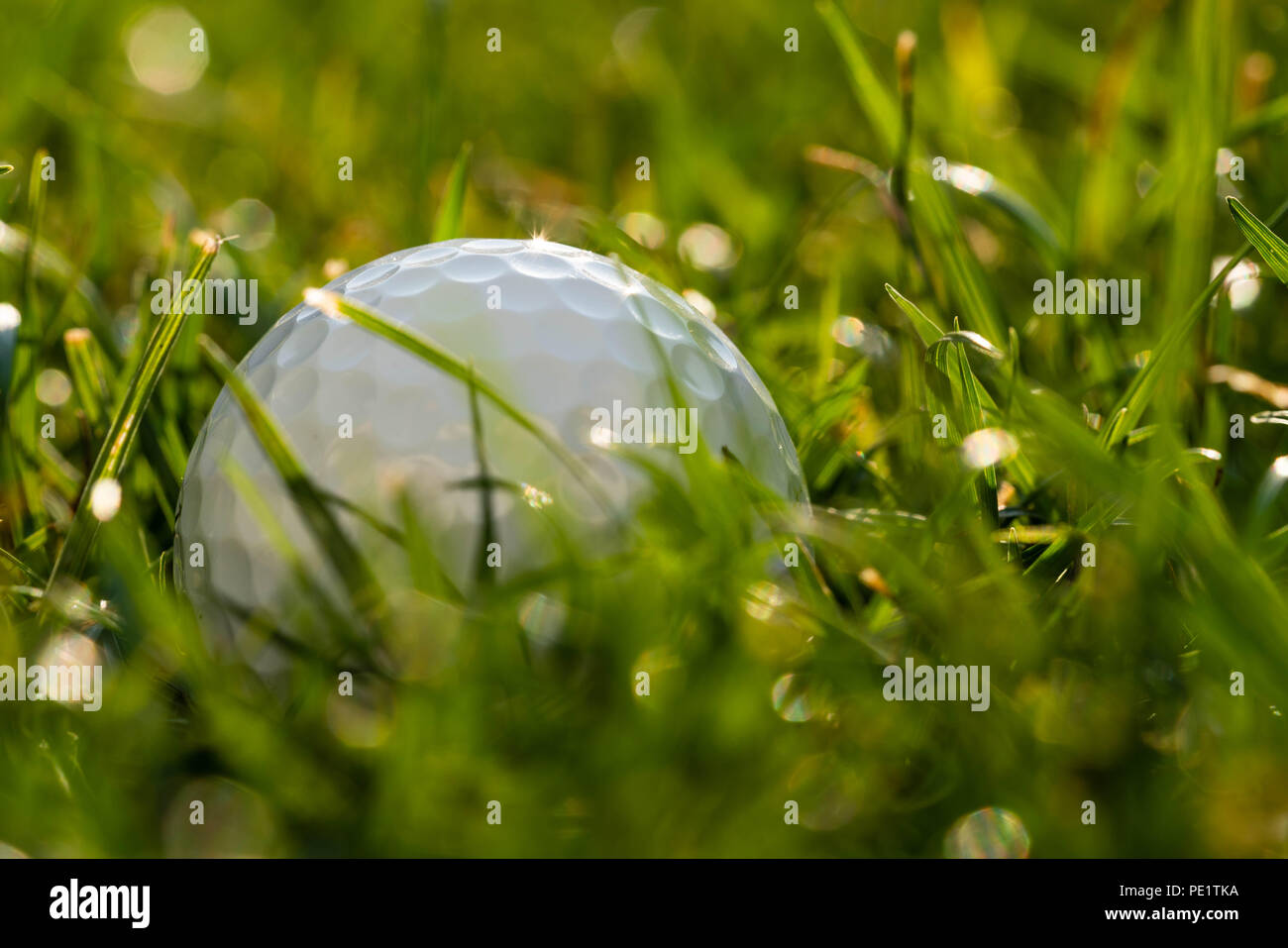A golf ball lies in the rough. Stock Photo