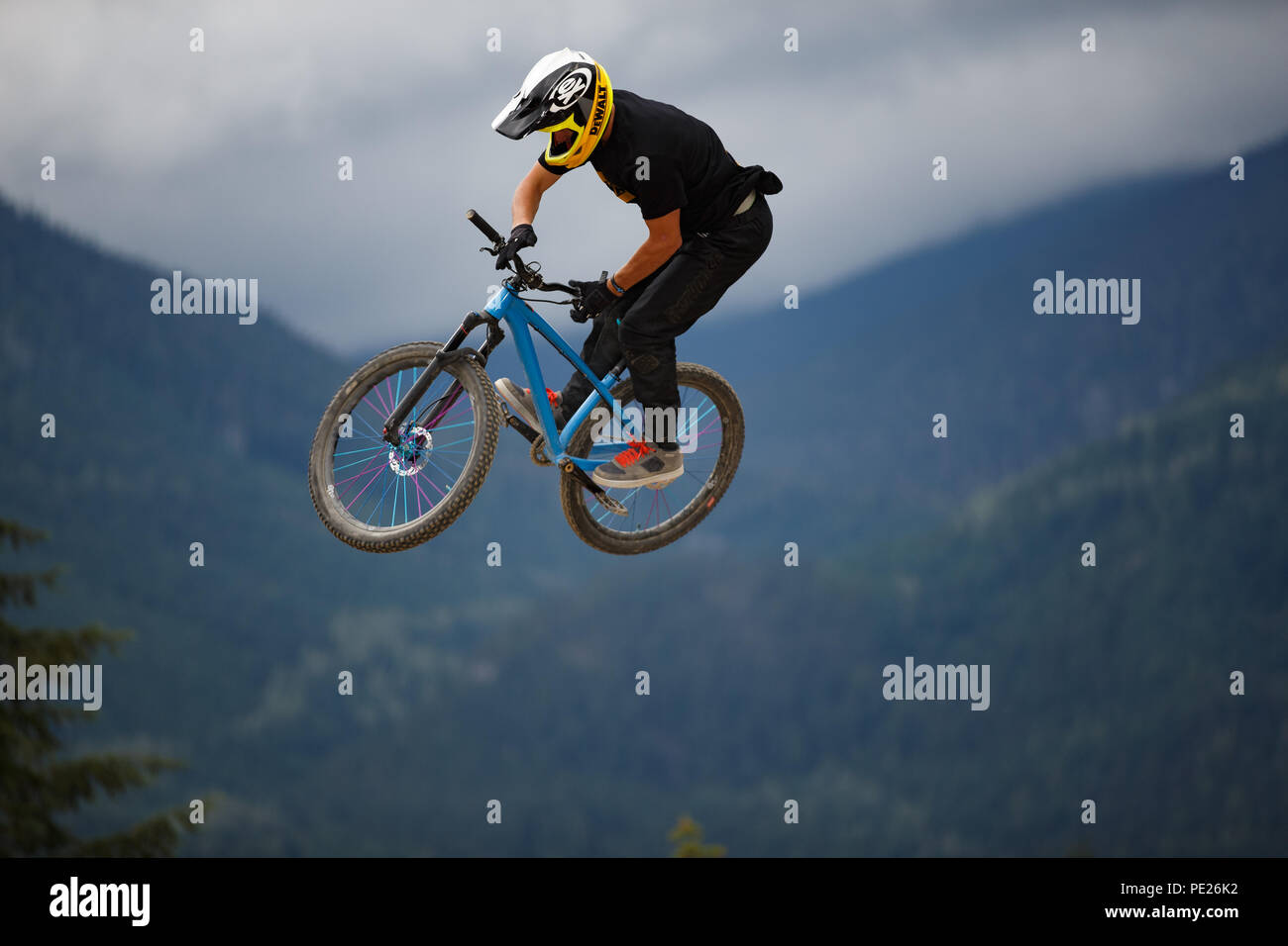 dewalt mountain bike