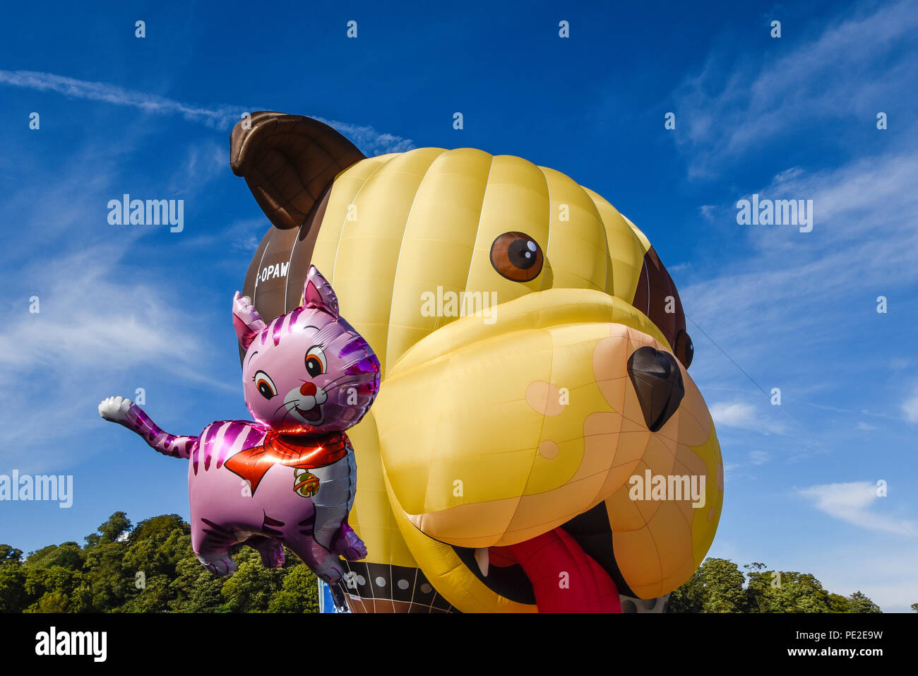 Buster Dog hot air balloon GOPAW built by Cameron Balloons. Tethered