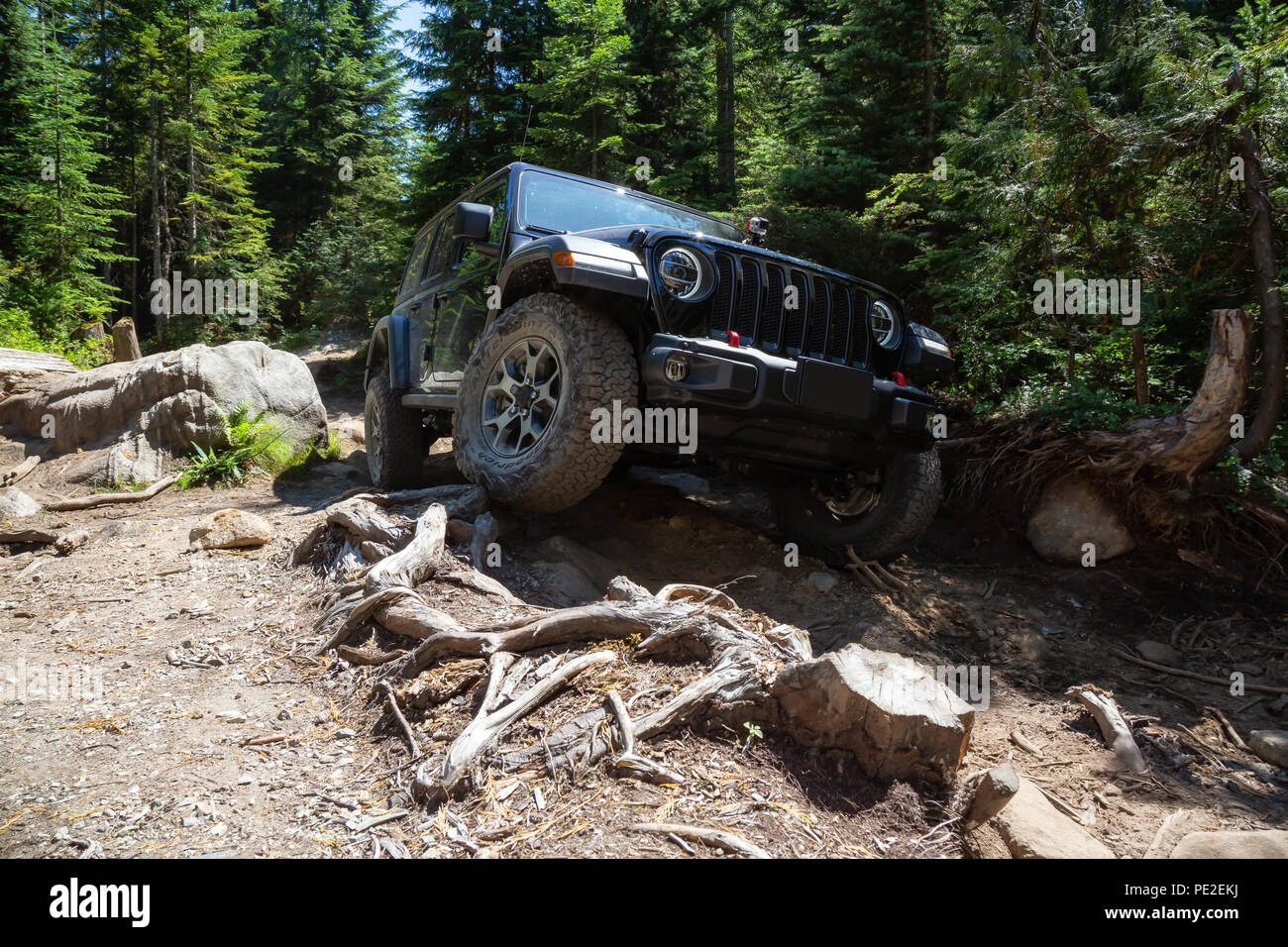 ROUGH AND RUGGED TRAIL | painel.sisprecisa.com.br