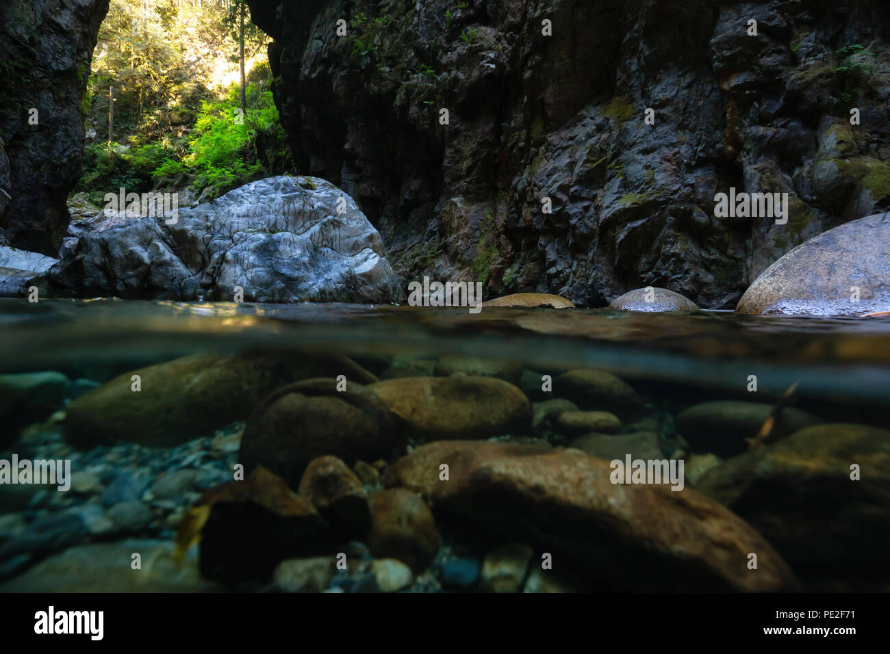 Over and Under picture of a beautiful Canyon in Lynn Valley, North Vancouver, British Columbia, Canada. Stock Photo