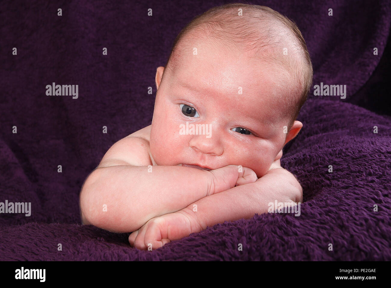 3 week old baby boy exploring, cognitive development Stock Photo Alamy