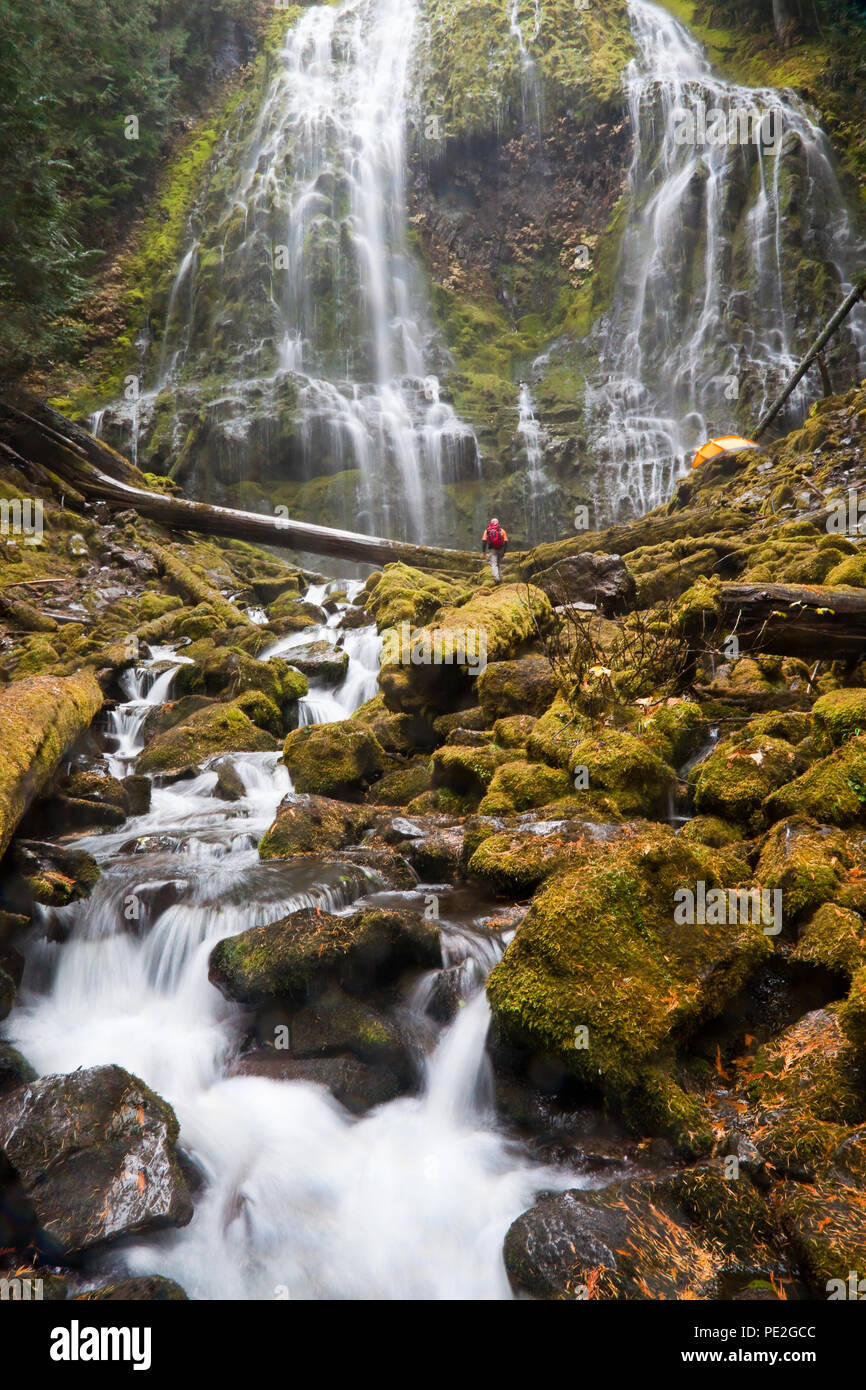 Hiker and tent at the base of Proxy Falls Near Sisters Oregon Stock Photo