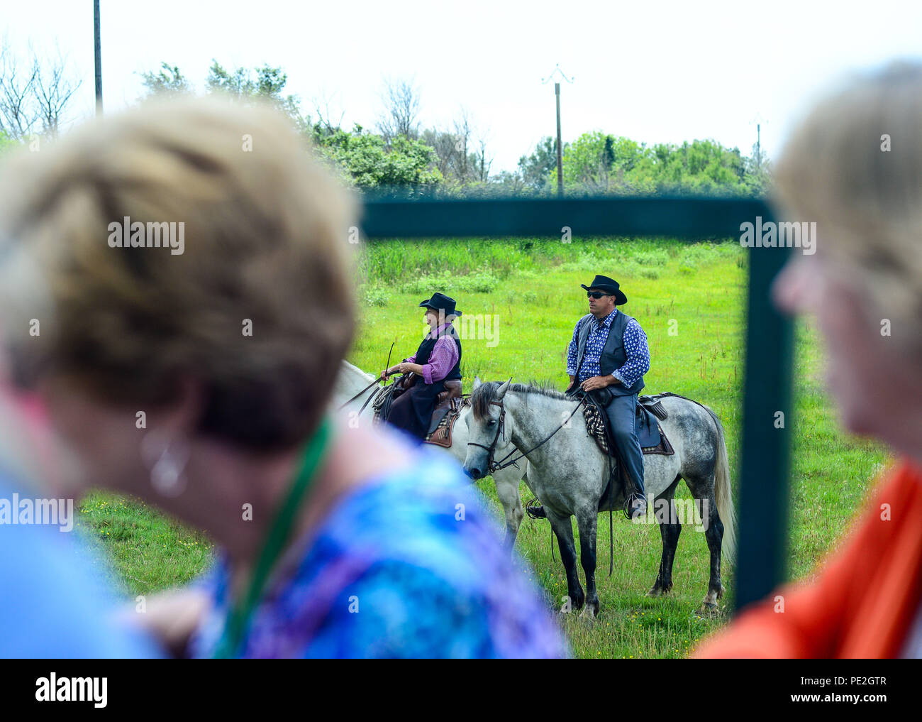 Cruise tourists visit a horse and bull farm with young horses, workers ...