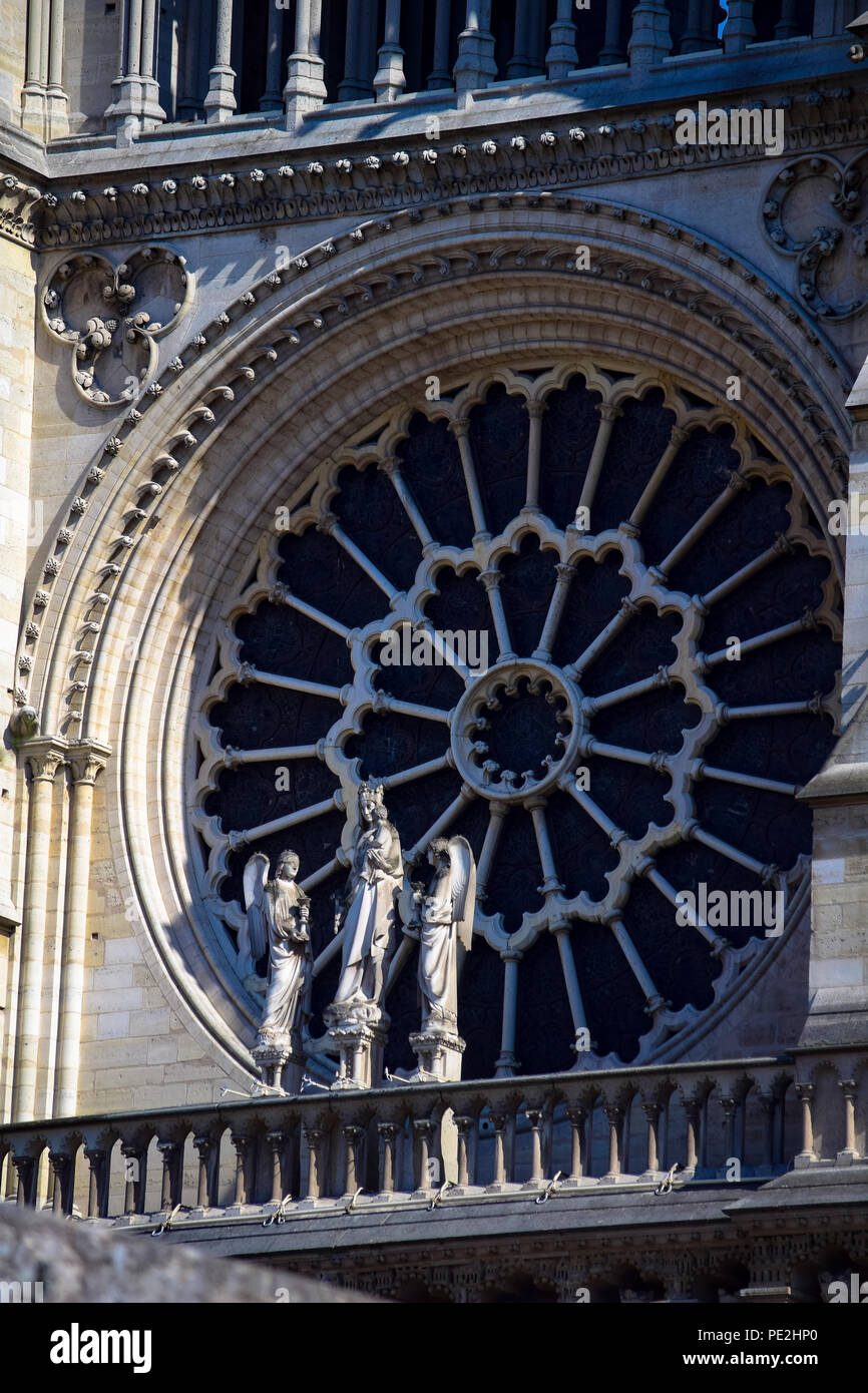 Details of the exterior of the rose window of Notre Dame de Paris cathedral in Paris, France