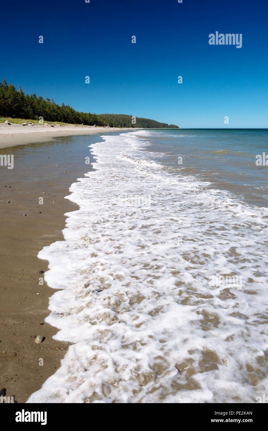 Jungle Beach on a clear summer day in Haida Gwaii, British Columbia, Canada Stock Photo
