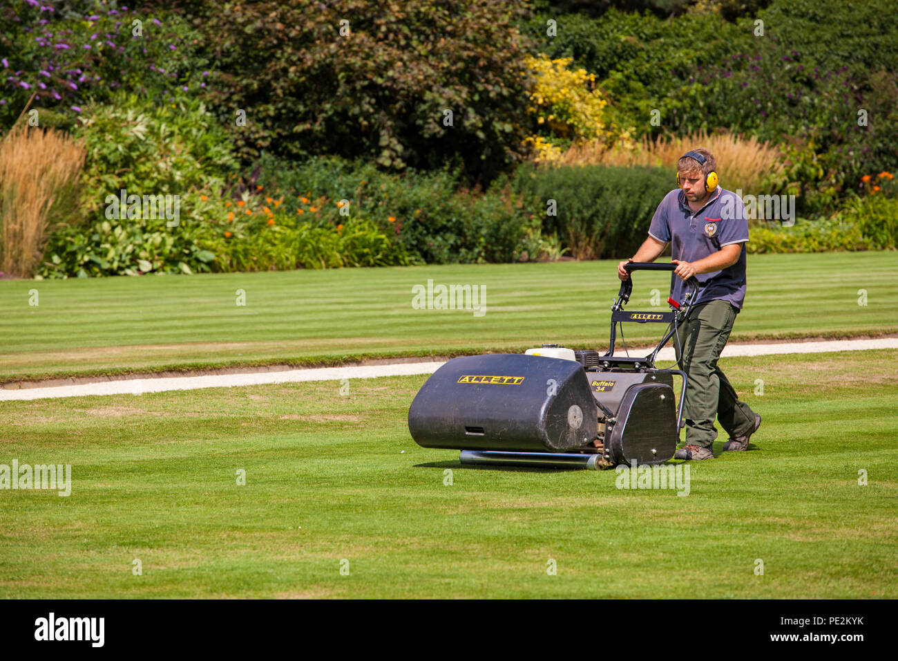 Gardener groundsman cutting mowing the grass lawns at Trinity collage Oxford using a traditional Allett Buffalo 34' cylinder lawn mower Stock Photo