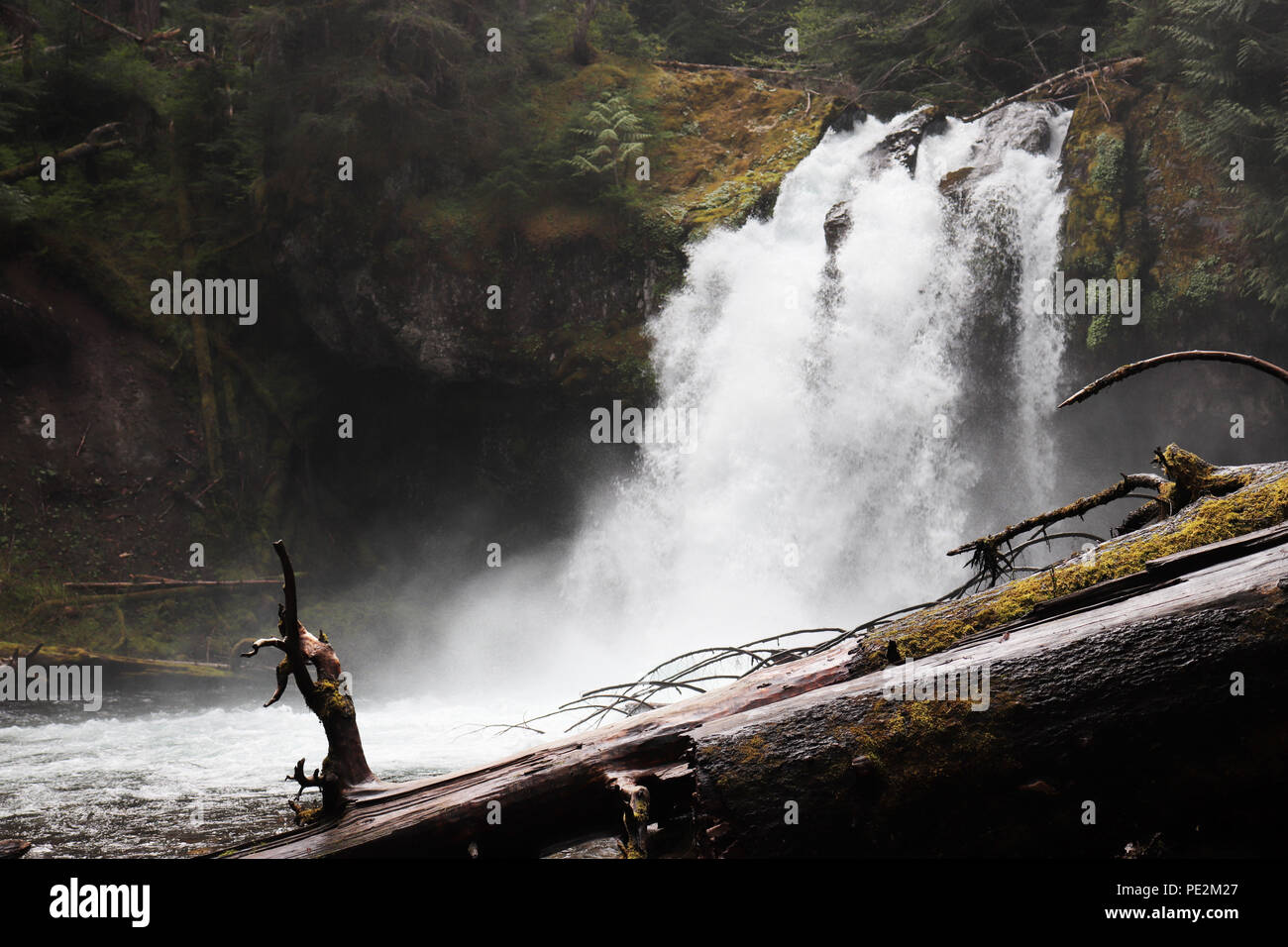 Iron Creek Falls at Gifford Pinchot National Forest, Washington Stock