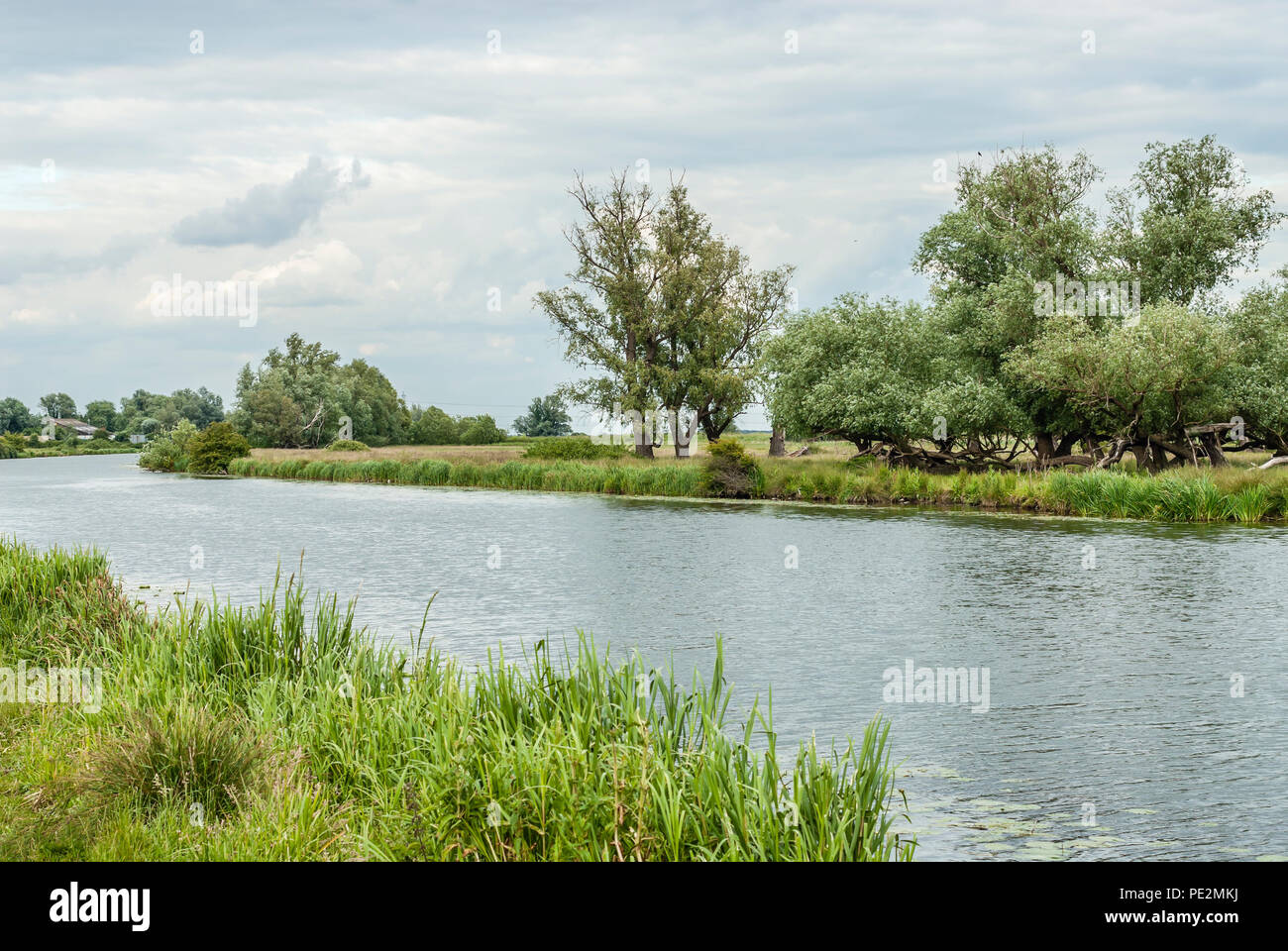 Fens landscape at the River Great Ouse, also known as the Fenland, near Ely, Cambridgeshire, England Stock Photo