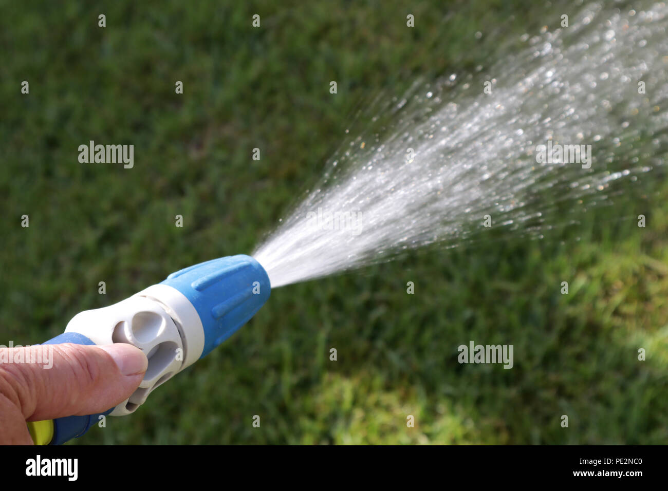Using a hose pipe in the garden Stock Photo Alamy