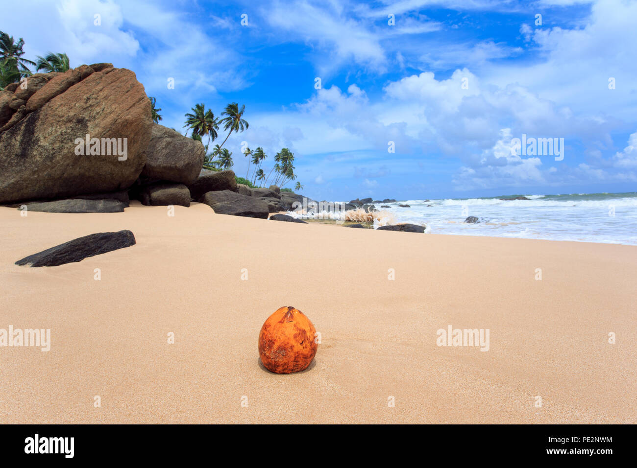 Untouched tropical beach Stock Photo