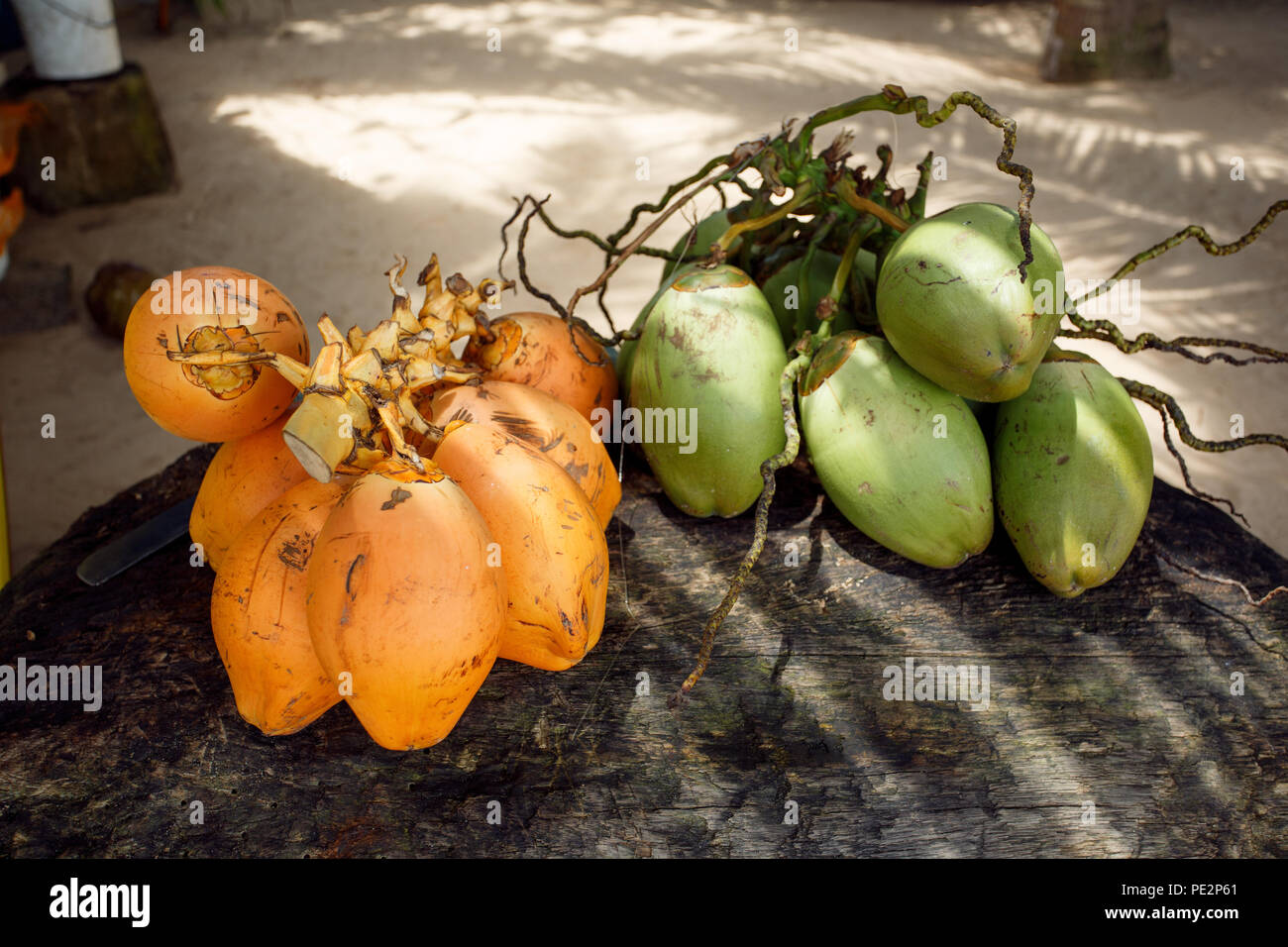 Coconuts on the beach in Sri Lanka Stock Photo