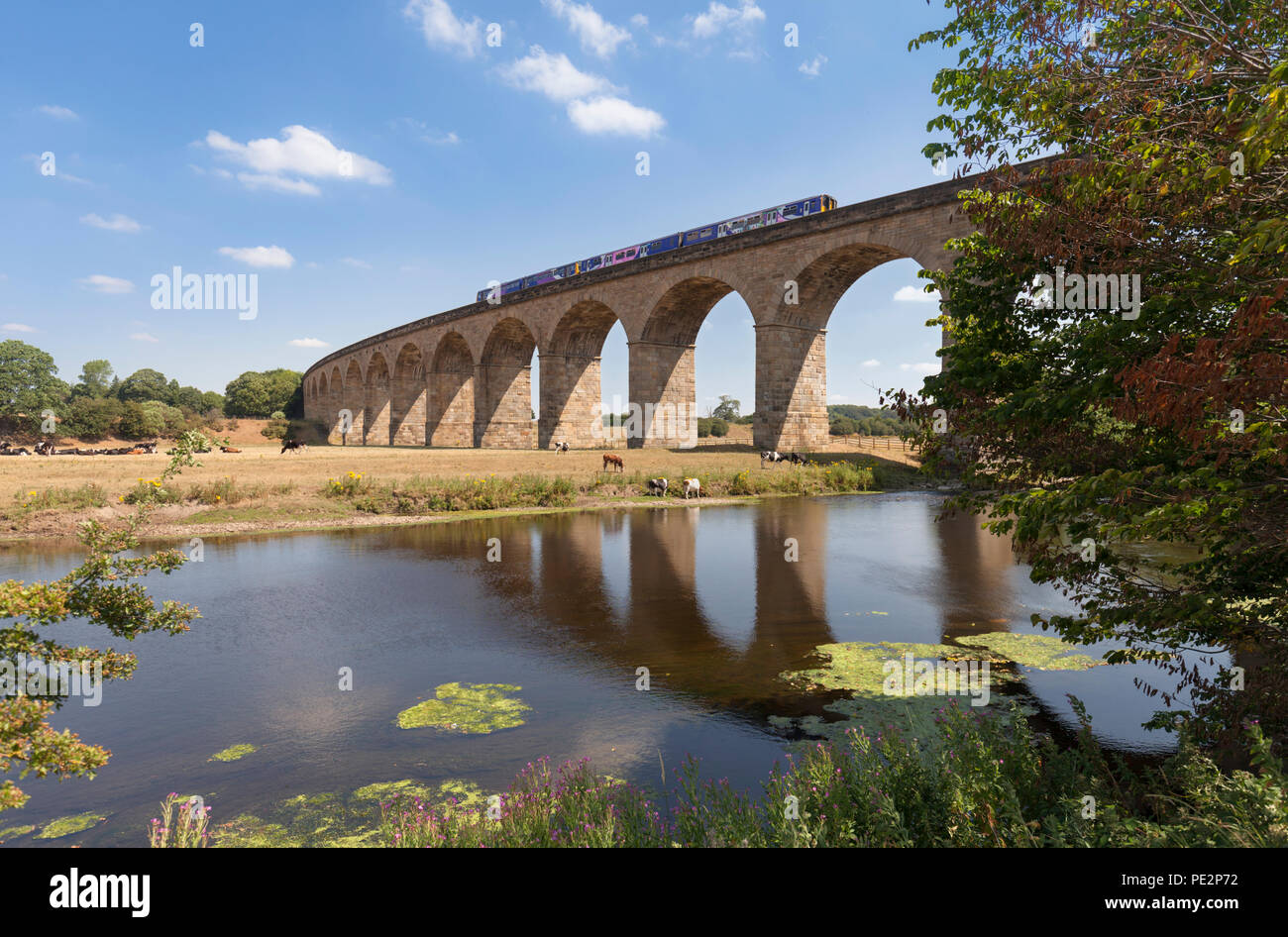 Northern rail class 150 sprinter + class 142 pacer trains crossing the ...