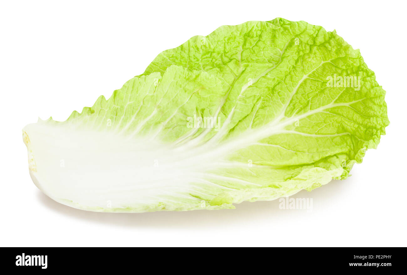 chinese cabbage leaf path isolated Stock Photo