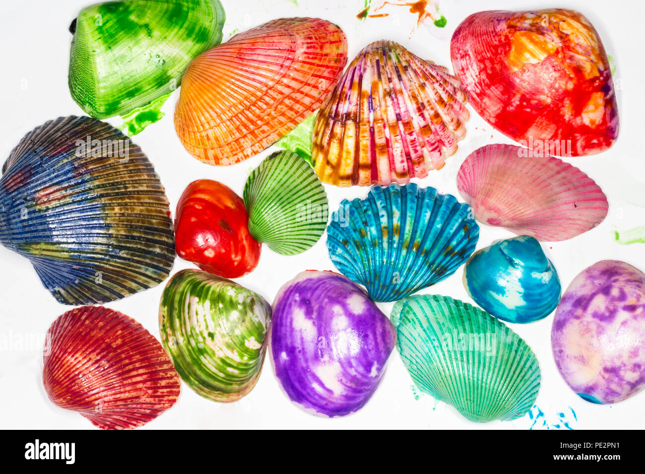 seashell color painted Group of colorful seashells arranged together