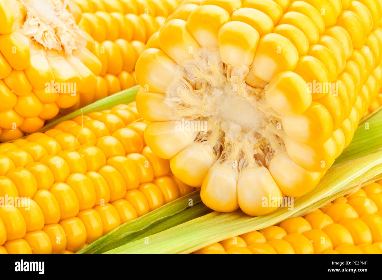 corn macro closeup Stock Photo