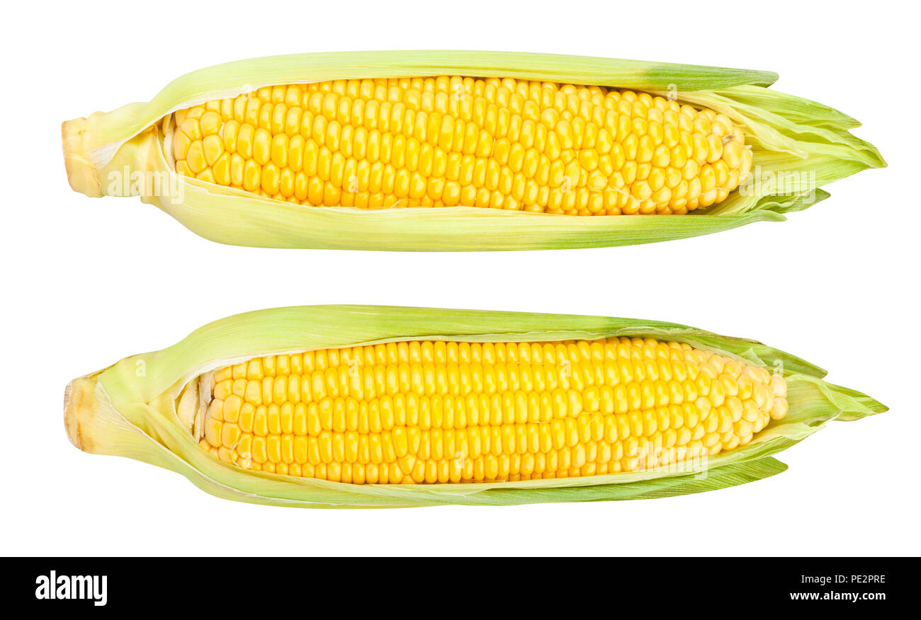 corn path isolated Stock Photo - Alamy