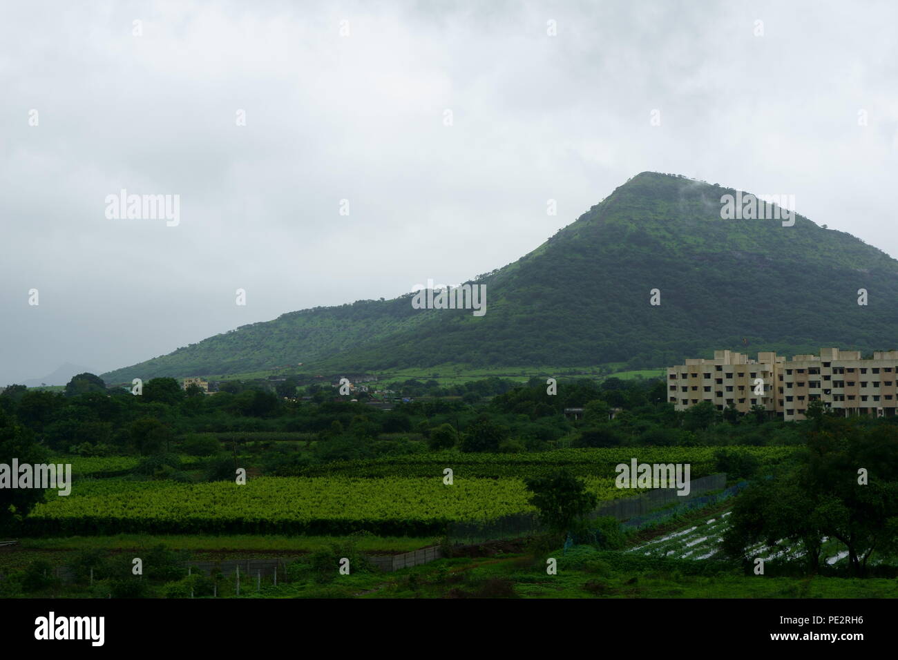 Grape farm and other agriculture beside mountain slope Stock Photo
