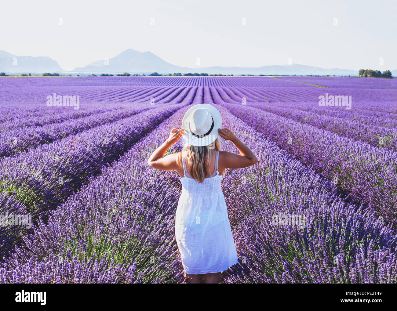 dream and inspiration, summer happy woman in romantic white dress enjoying nature in lavender flowers fields Stock Photo