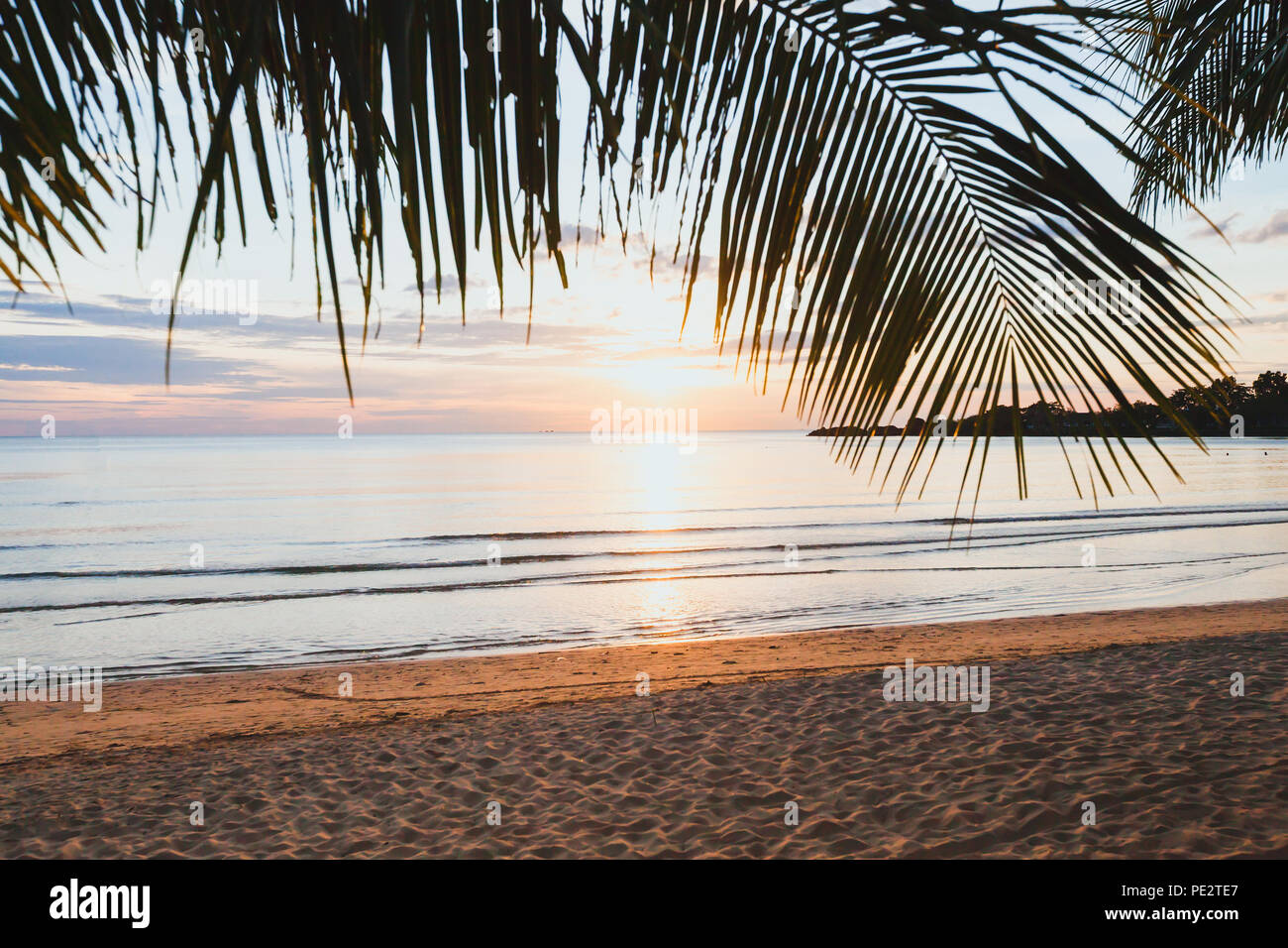 tropical holiday beach at sunset, empty exotic vacation landscape with palm tree, quiet nature, sand and sea Stock Photo