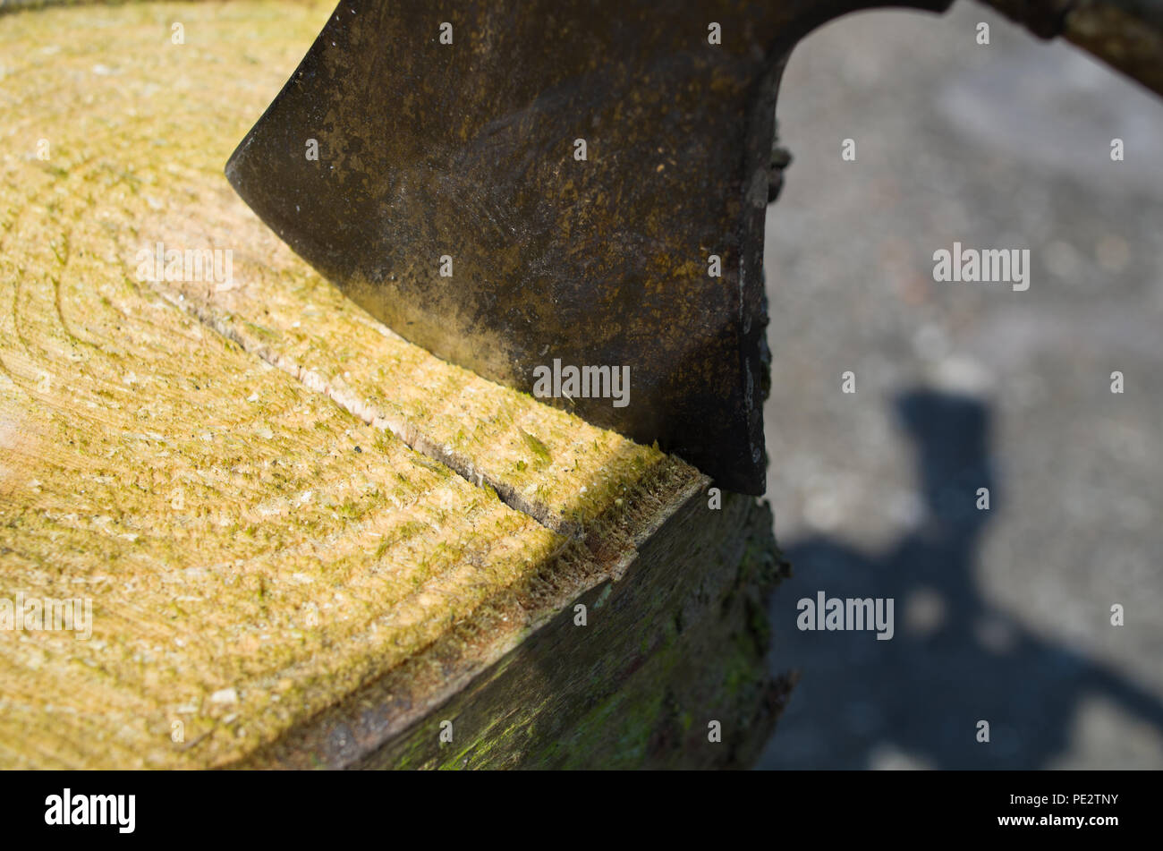 Chopping Logs Firewood axe Hatchet UK Stock Photo Alamy