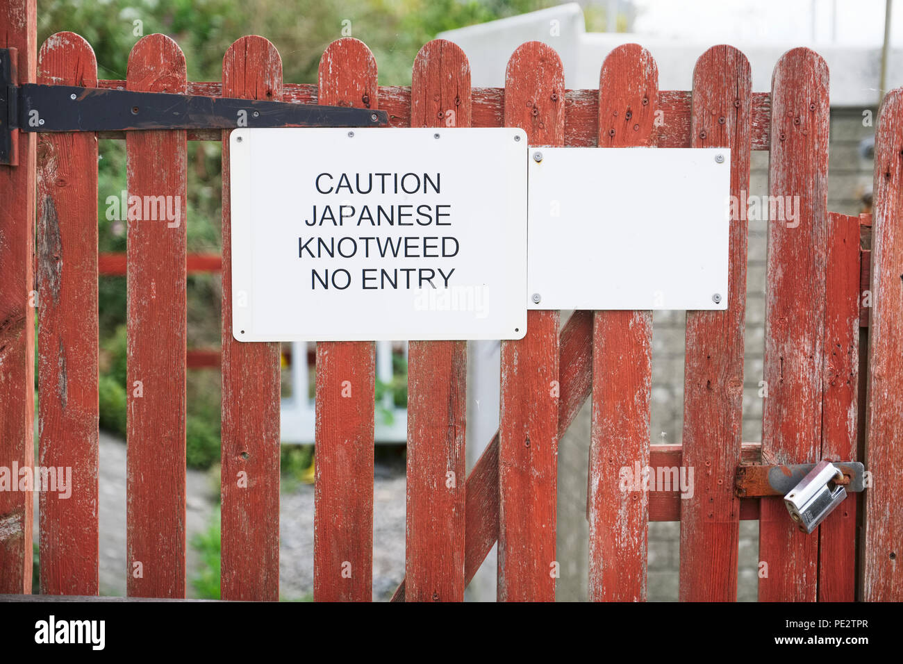 Japanese knotweed caution no entry sign on garden gate Stock Photo