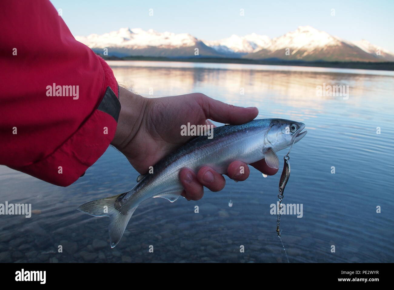trout fishing in Patagonia with andes mountains, Lago Roca, near El