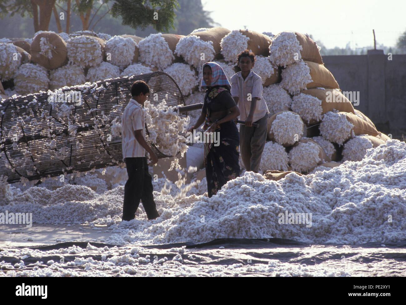 Cotton being milled in Warangal, India Stock Photo