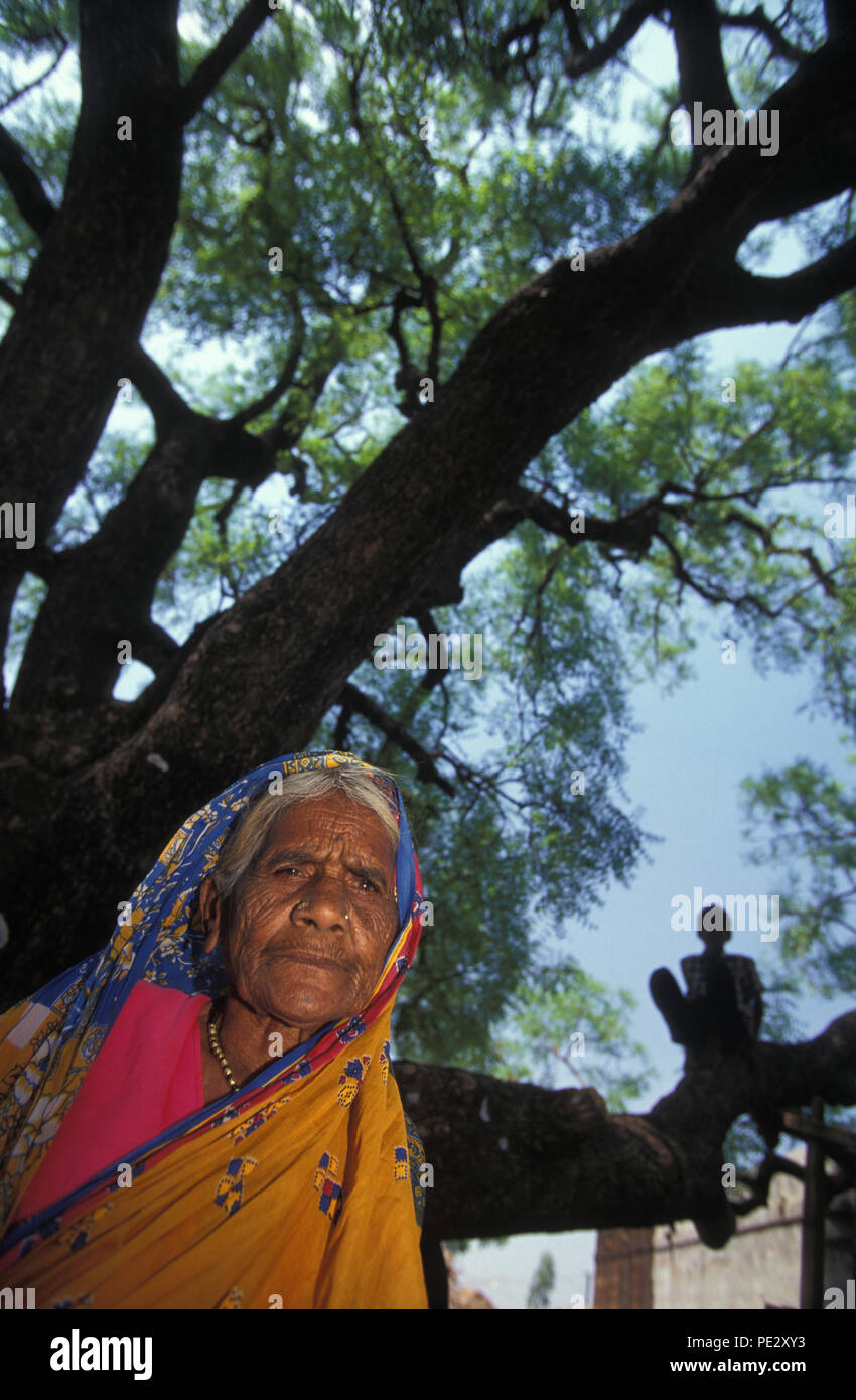 An elderly woman in a rural village in the Deccan Development society standing under a Neem tree. Deccan Plateau, Central India.  The Neem tree has been at the centre of a copyright battle. The GM giant  company Monsanto had  attempted to patent around 32 different health giving qualities that the Neem tree offered.  The Indian Government took them to court for Biopiracy and won. Stock Photo