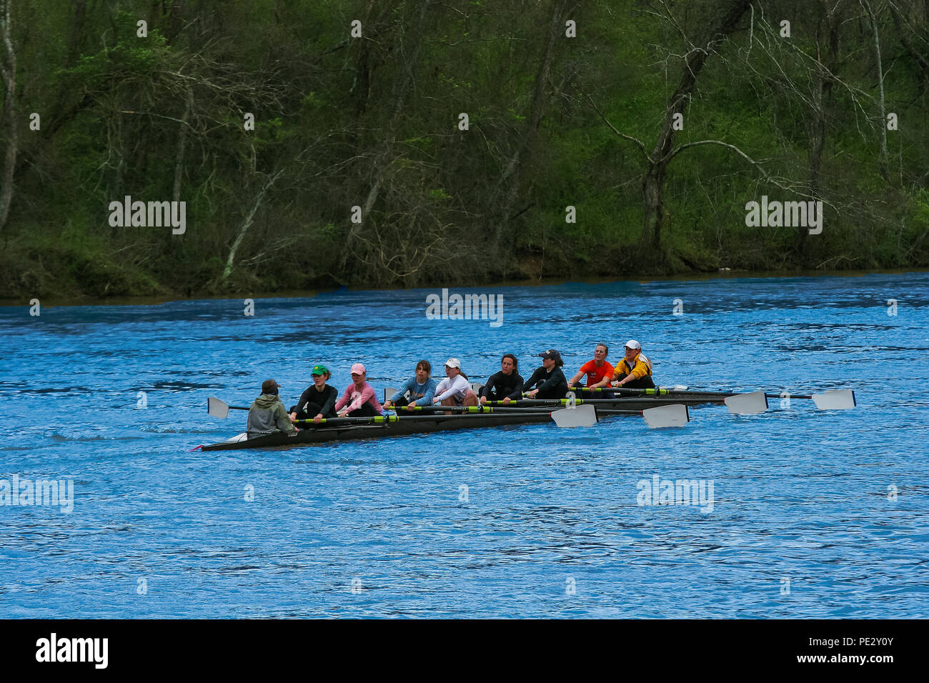 Row boat crew shell hi-res stock photography and images - Alamy