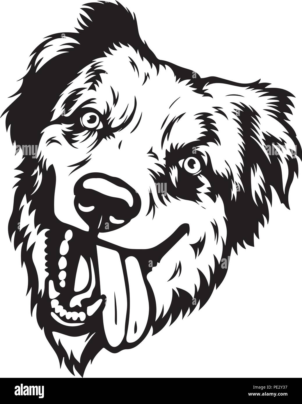 Australian Shepherd Dog Breed Pet Puppy Isolated Head Face Stock Vector ...