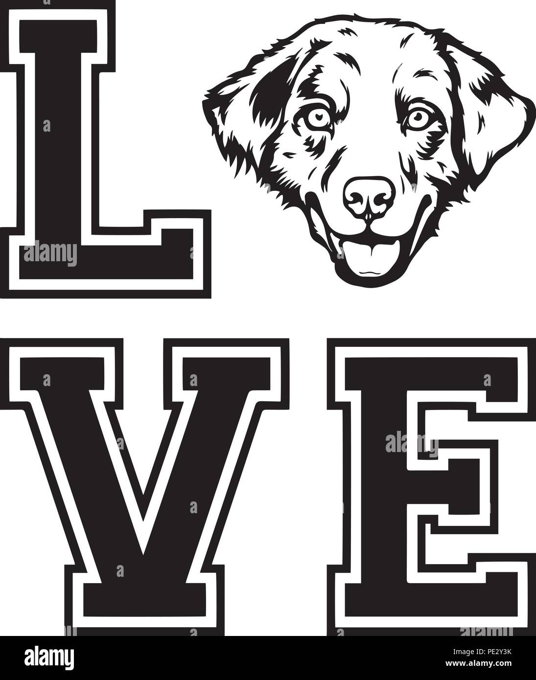 Australian Shepherd Dog Breed Pet Puppy Isolated Head Face Stock Vector ...