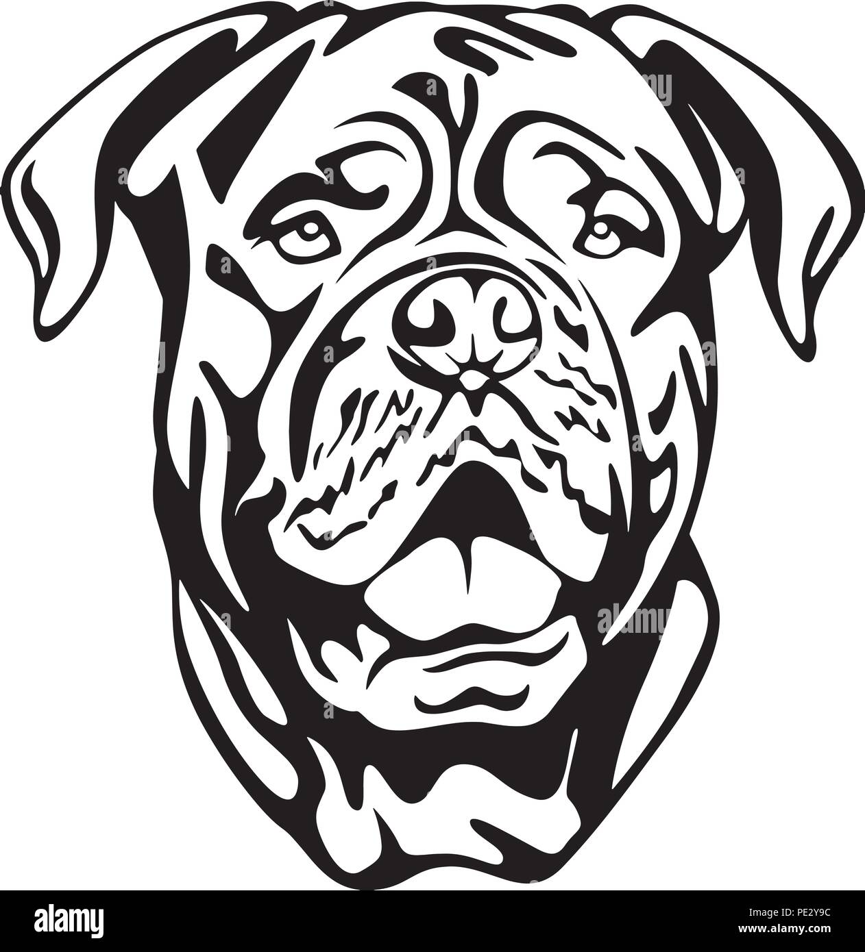 Dogue Template Dogue Template