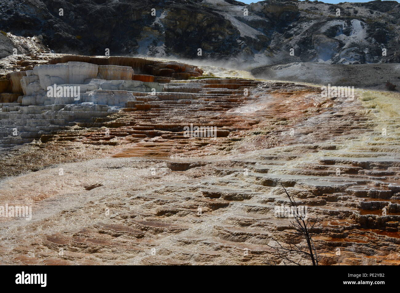 Hot Springs- Yellowstone Stock Photo