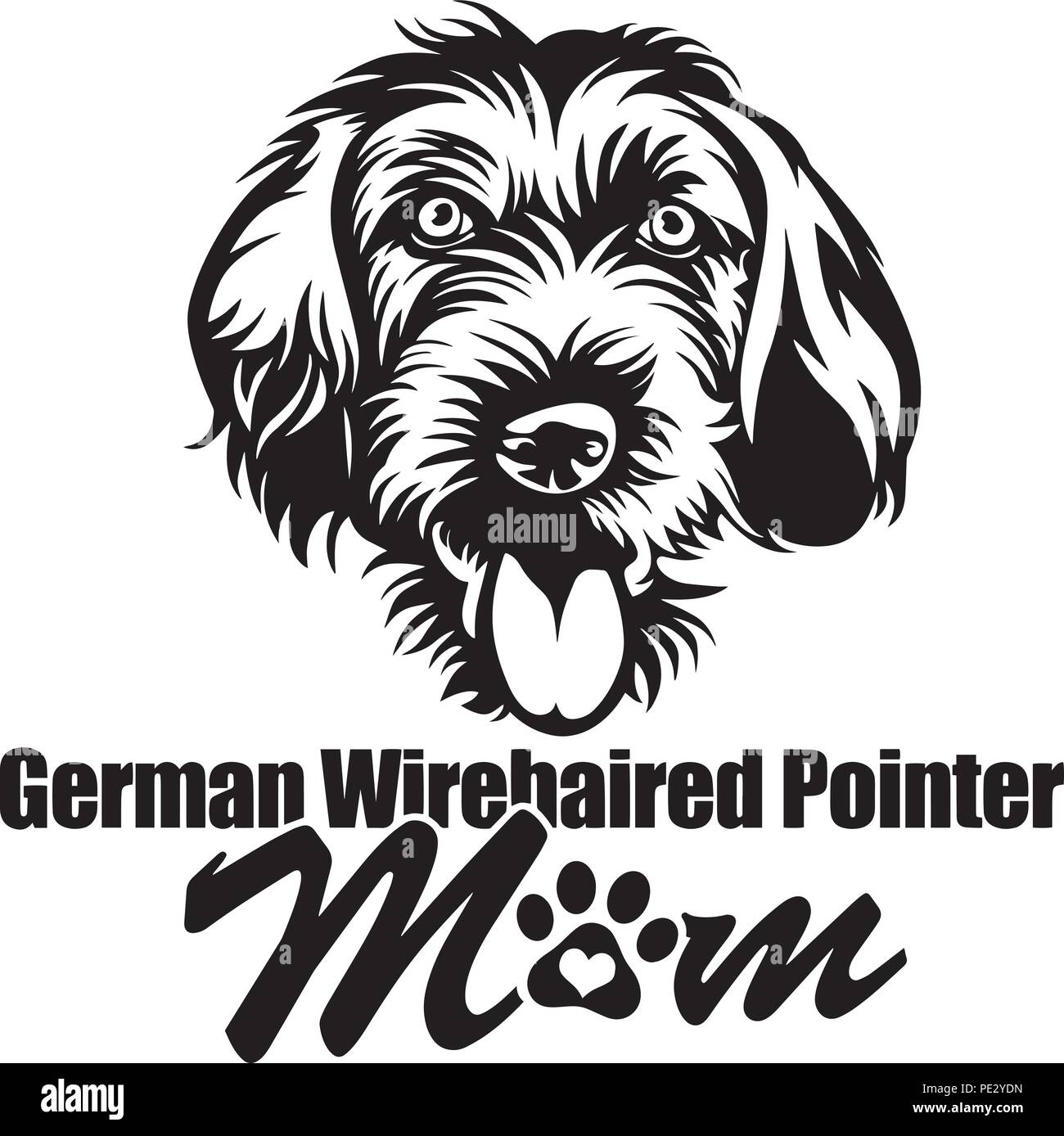 Golden retriever head studio Stock Vector Images Alamy