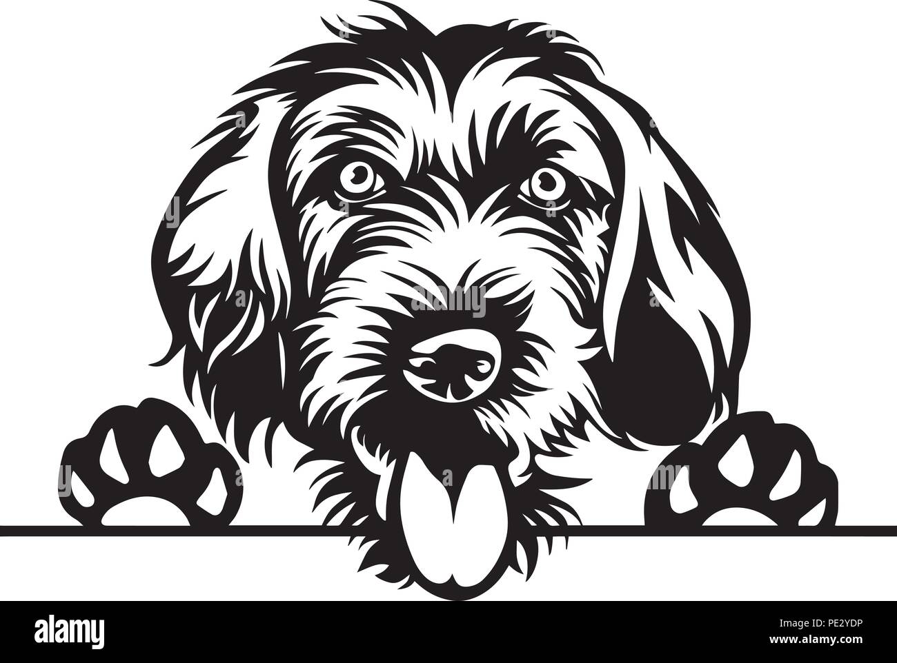 German Pointer Breed Pet Puppy Isolated Head Face Stock Vector