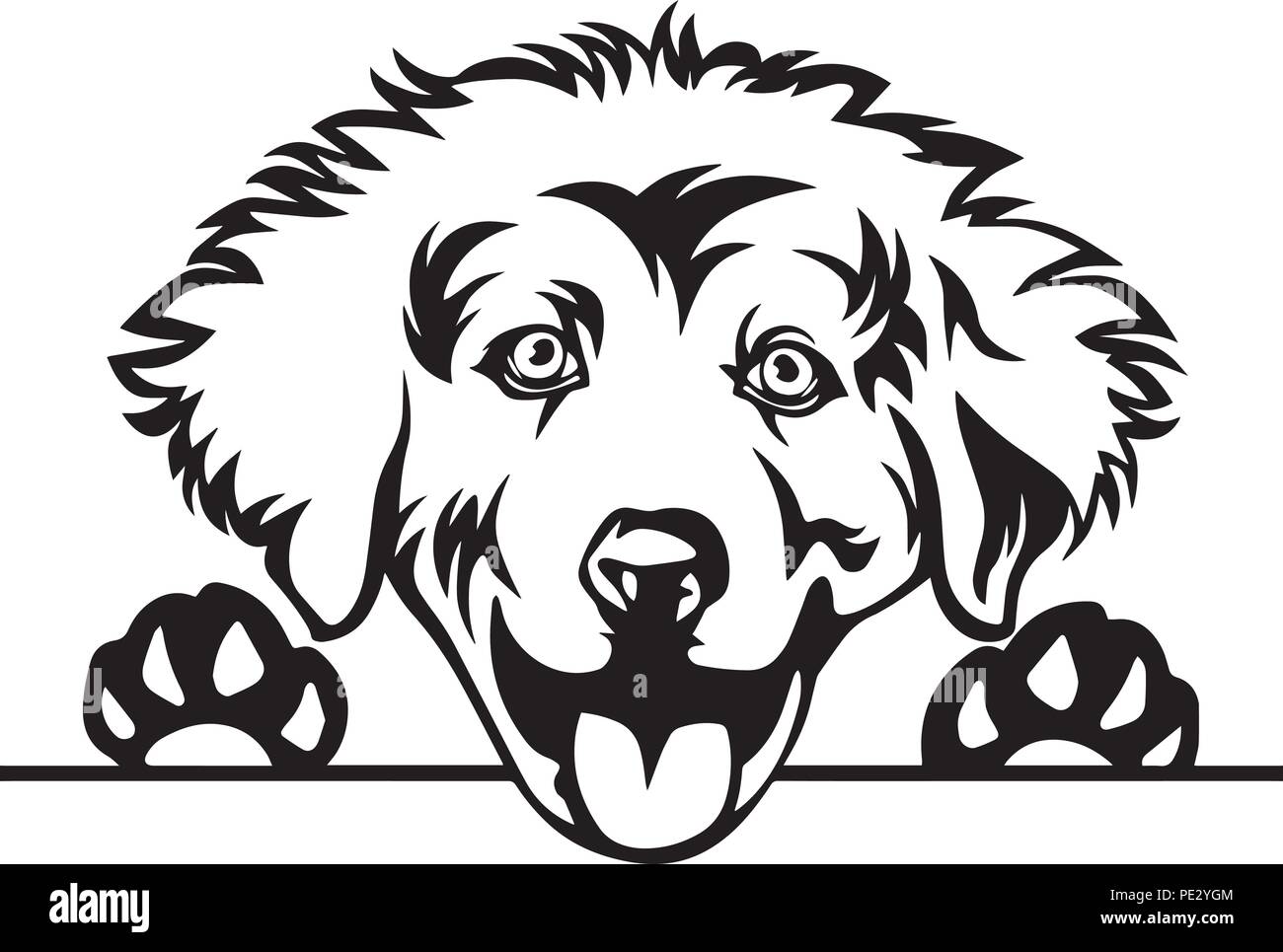 Great Pyrenees Breed Pet Puppy Isolated Head Face Stock Vector Image