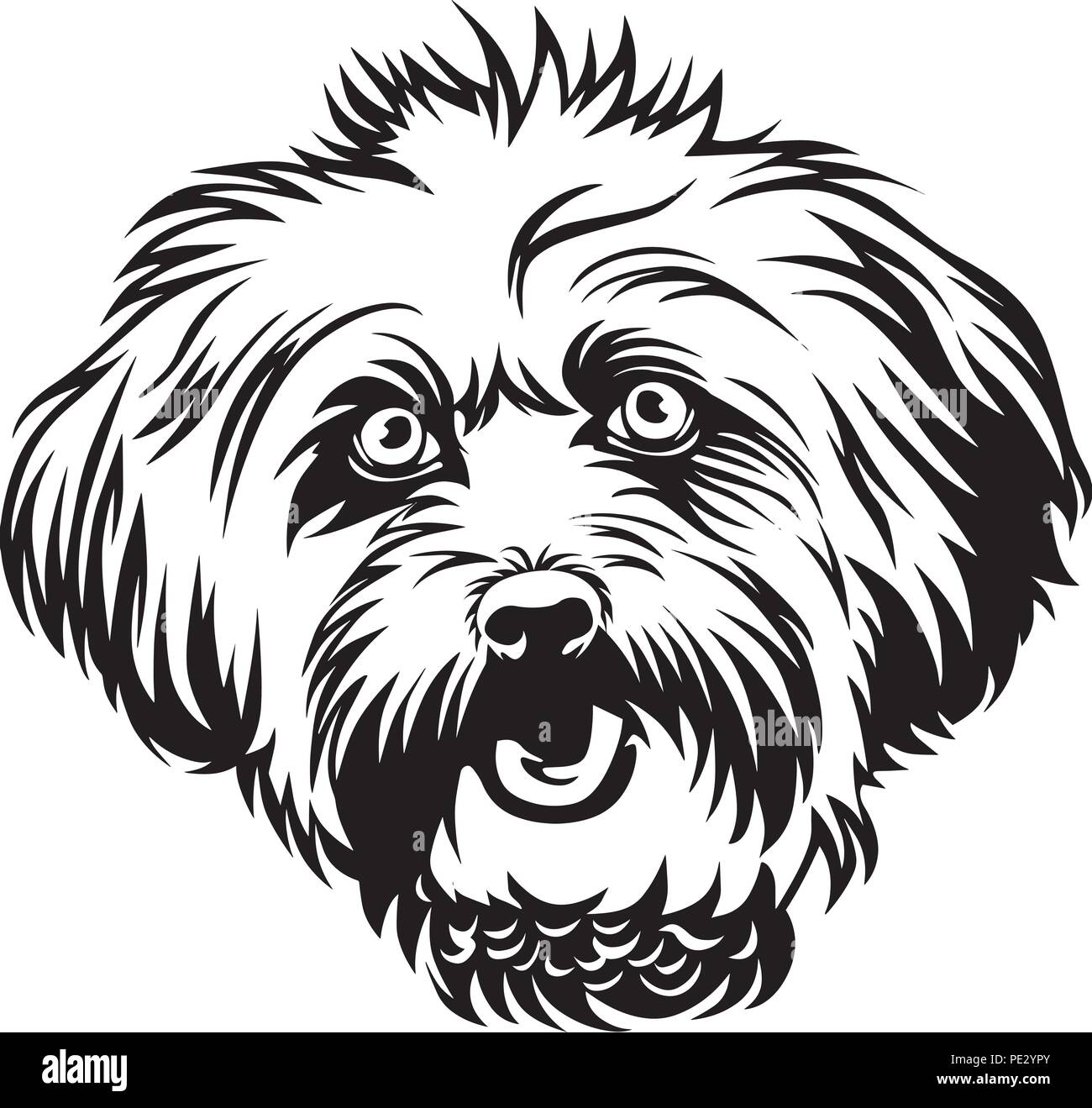 lhasa apso service dog