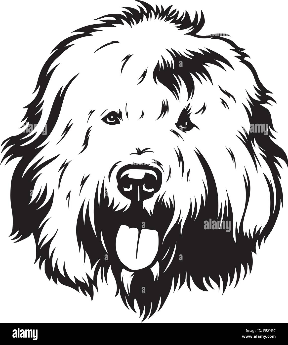 Viejo Pastor Ingles Adulto  Old english sheepdog, English sheepdog, Dog  breeds