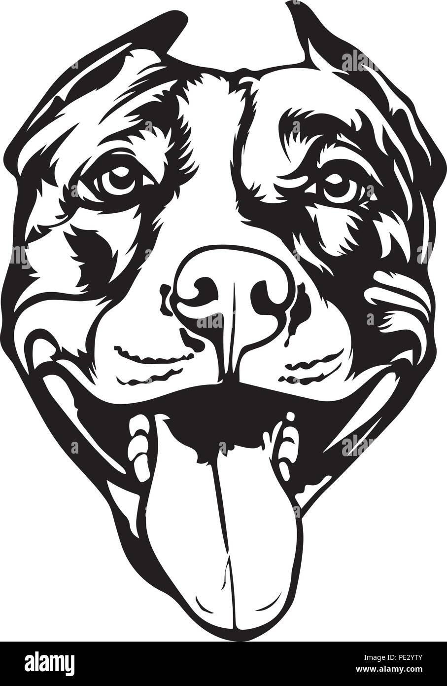 Pit Bull Pitbull Dog Dog Breed Pet Puppy Isolated Head Face Stock Vector