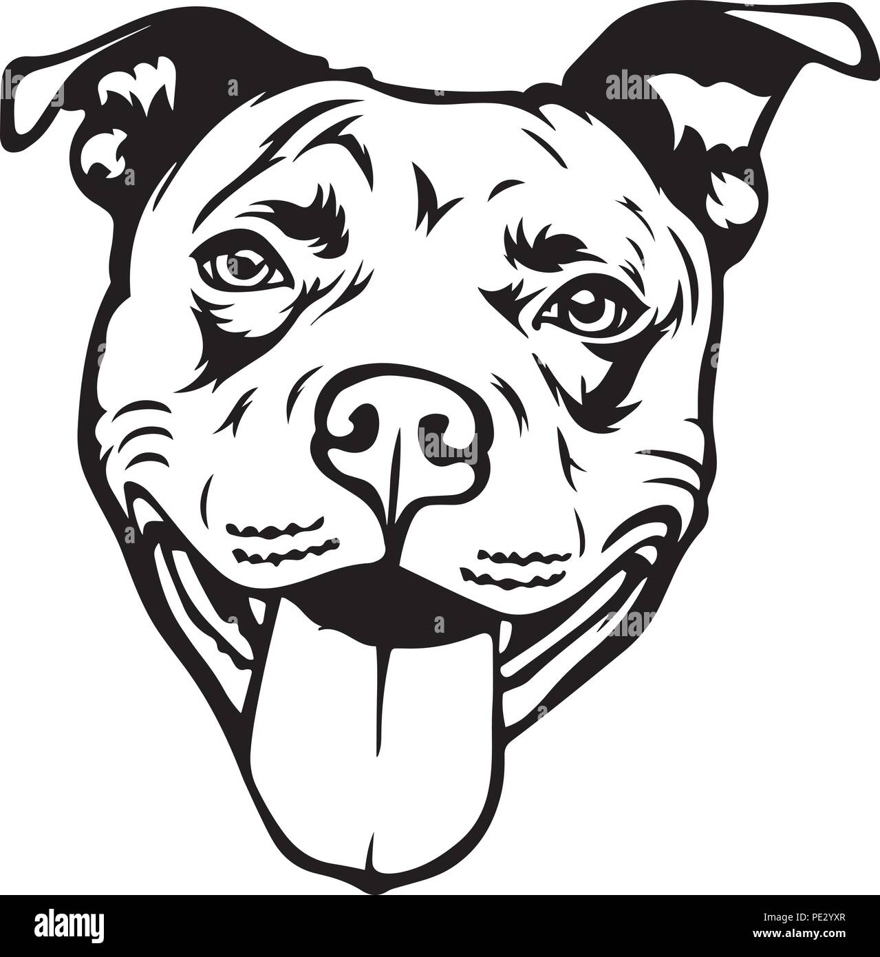 Pit Bull Pitbull Dog Dog Breed Pet Puppy Isolated Head Face Stock Vector