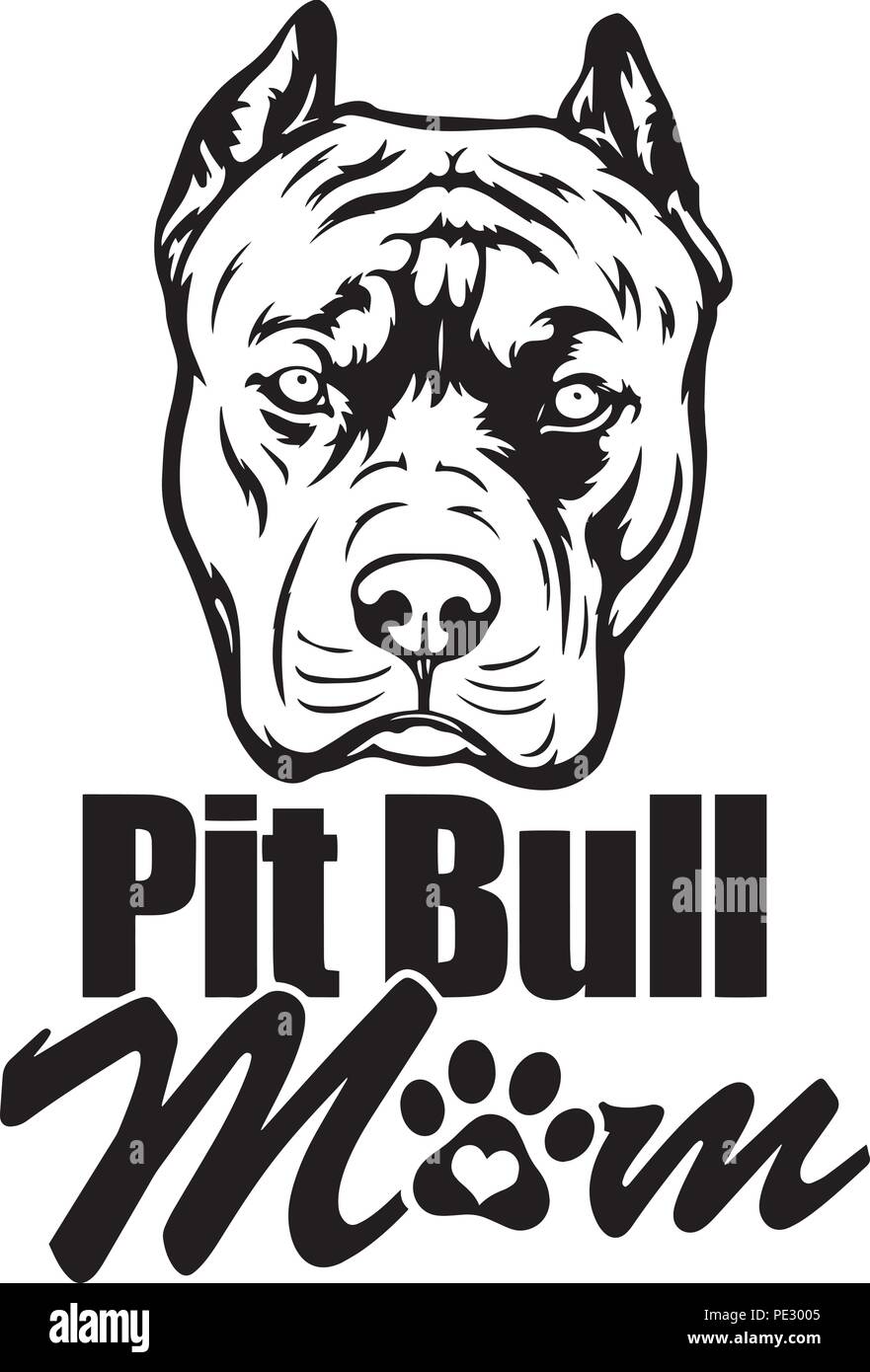 Pit Bull Pitbull Dog Dog Breed Pet Puppy Isolated Head Face Stock Vector