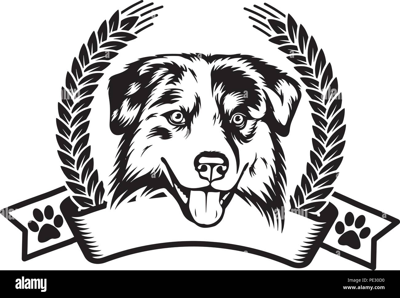 Australian Shepherd Dog Breed Pet Puppy Isolated Head Face